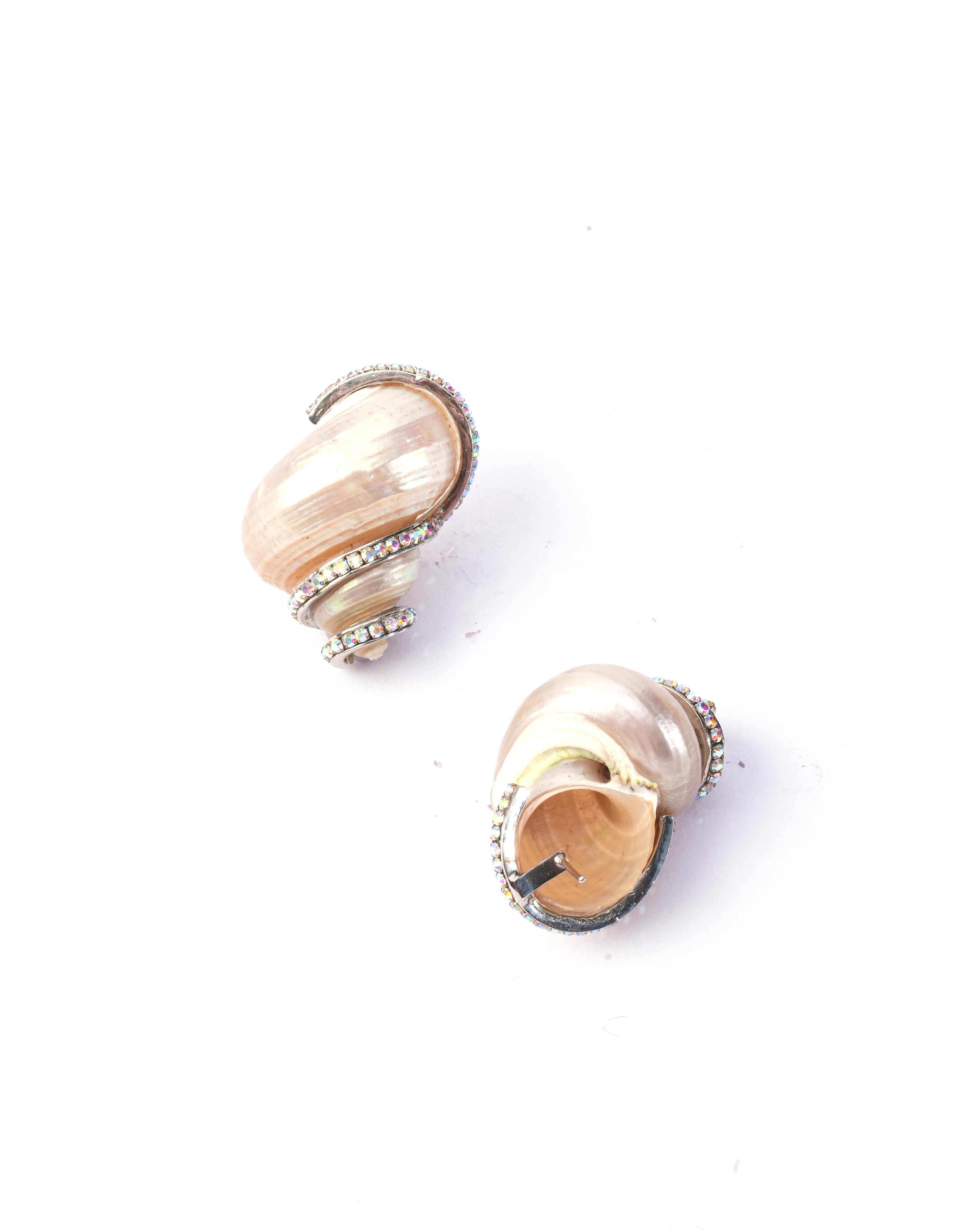 Nova Shell Studs in Silver