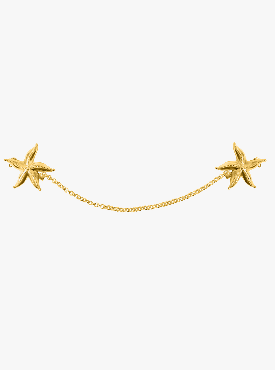 Sea Star Link Brooch
