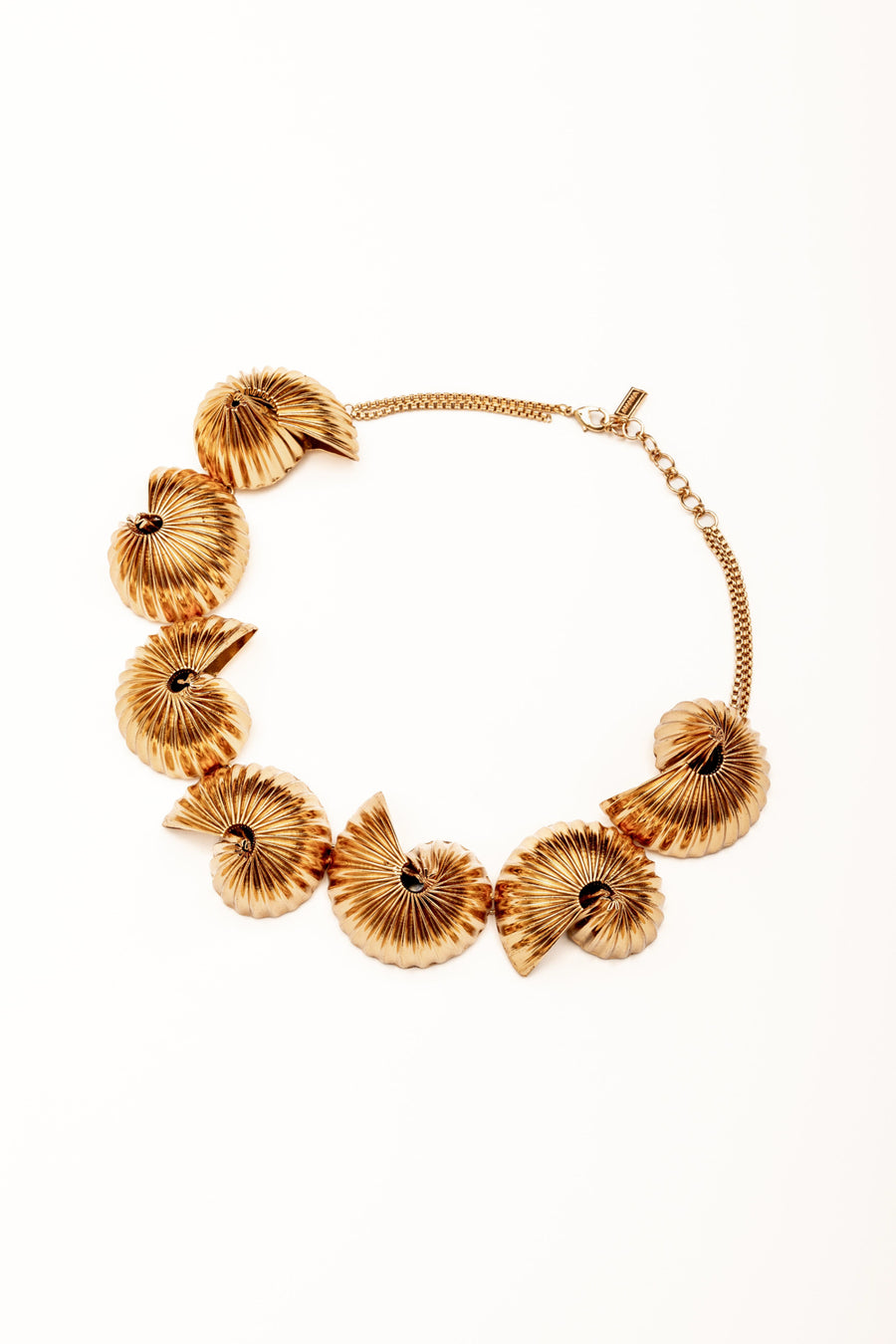 Auryn Shell Necklace