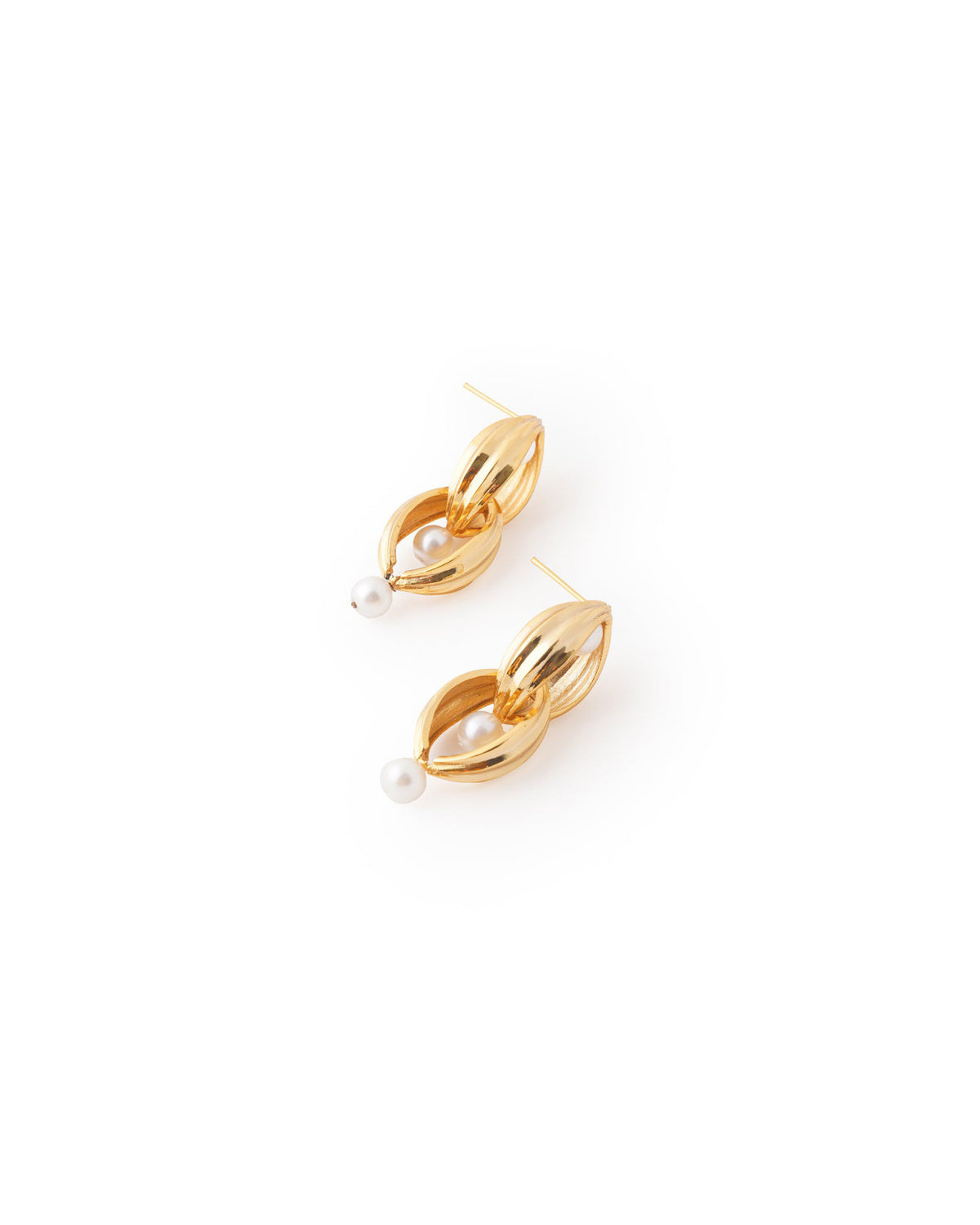 Scallop Earrings